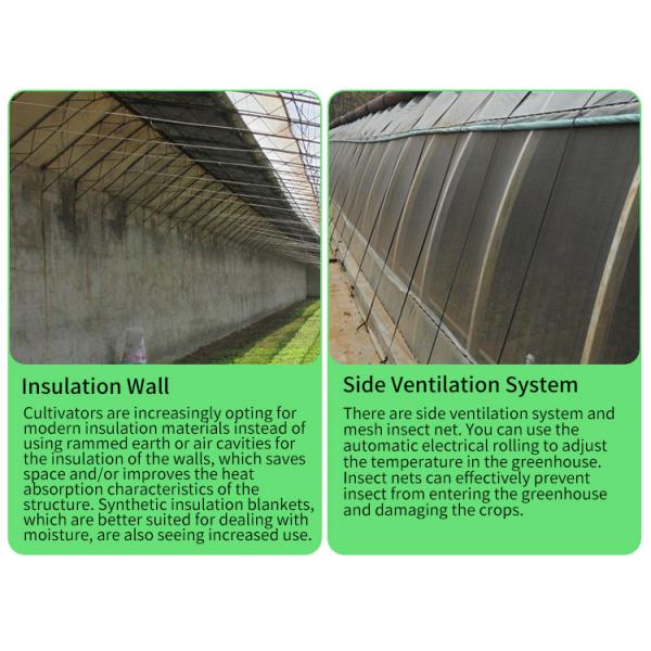 Пластиковая пленка сельскохозяйственная теплица с высокой изоляцией автоматическая циркуляция воздуха