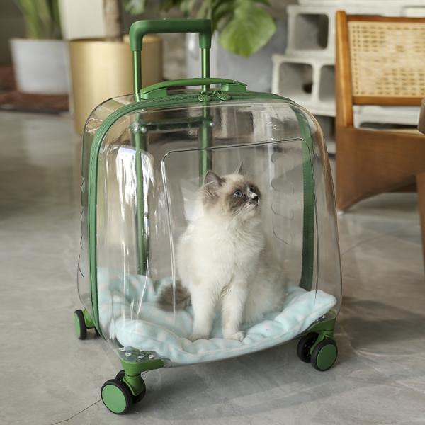 Sac de voyage pour animaux de compagnie en capsule transparente en matériau PC avec roue de chariot, grande capacité, bagage pour chat et chien, support portable transparent