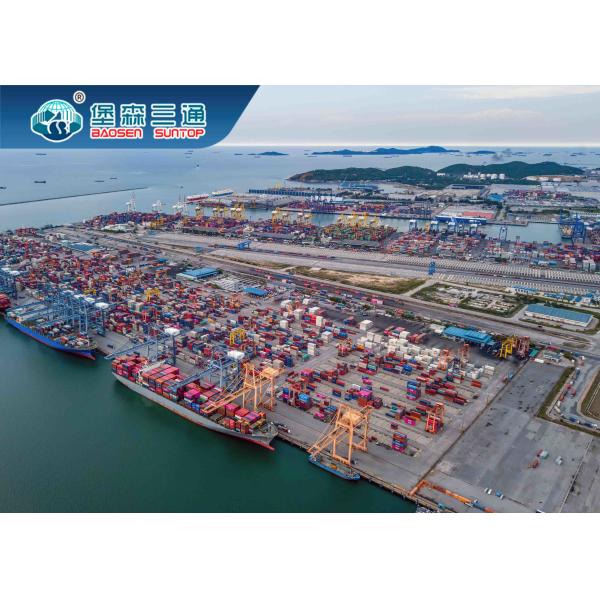 Internationl Sea Shipping Company , Best Rate LCL Sea Freight China