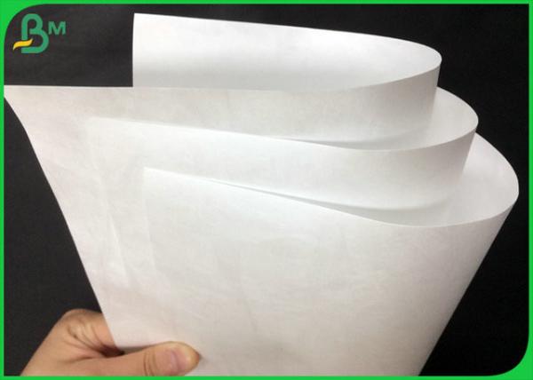 Revestido alise o papel impermeável de superfície da impressora de Tyvek para fazer sacos