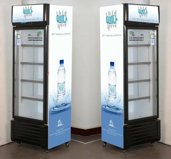 Commercial Mechanical Temperature-Controlled Beverage Display Freezer