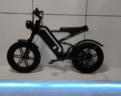 48V1000W Motor Electric Fat Bike  with Throttle  and torque sensor