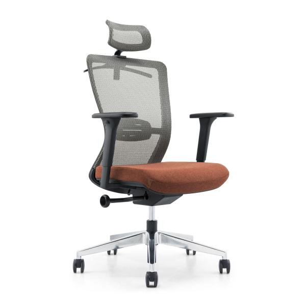 Mail Packing Mesh Ergonomic Office Chair for Workstation and Manager Modern Design Style