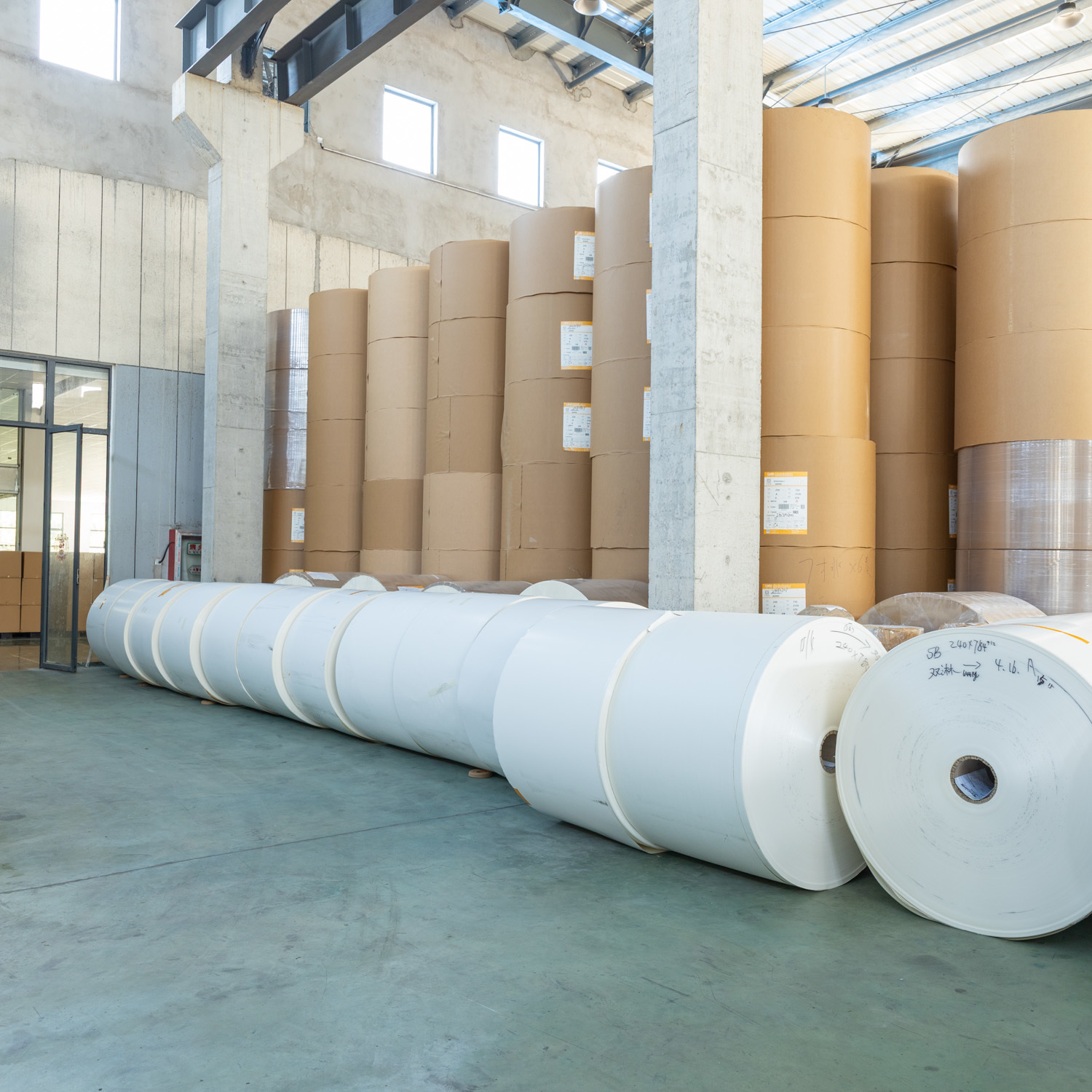 Waterproof PE Coated Paper Roll with Customized Printing and 190-320 gsm for Disposable Food Containers