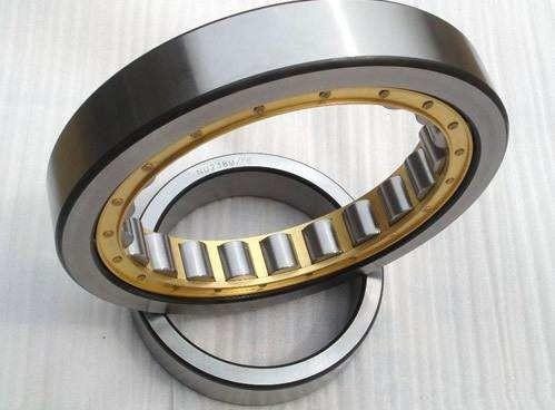 GCr15 Double Row SL014838 Cylindrical Roller Bearings