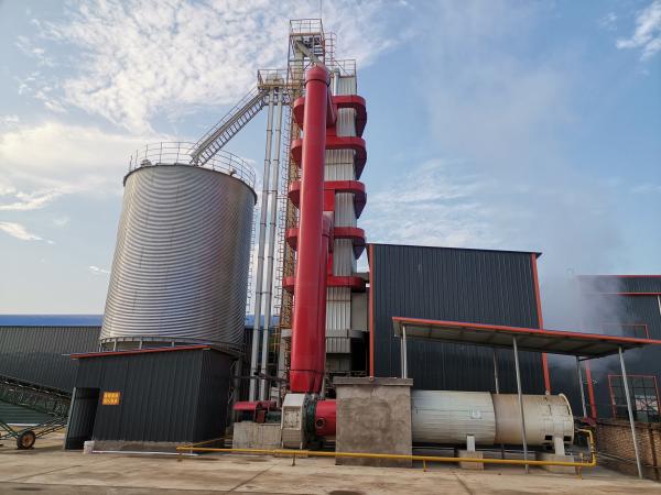食品加工産業向け100～1000 T/Dコーン乾燥機
