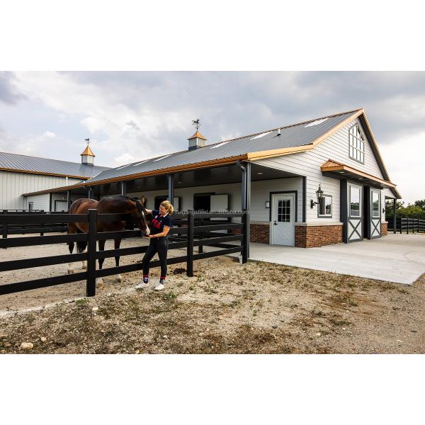 Modern Steel Horse Stable for Horse Riding Farmhouse Use Convenient Horse Riding House Warehouse Design