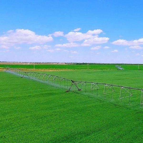 2024 Farm Agricultural Towerable Solar Powered Center Pivot Irrigation Machine System with 168 cm Diameter