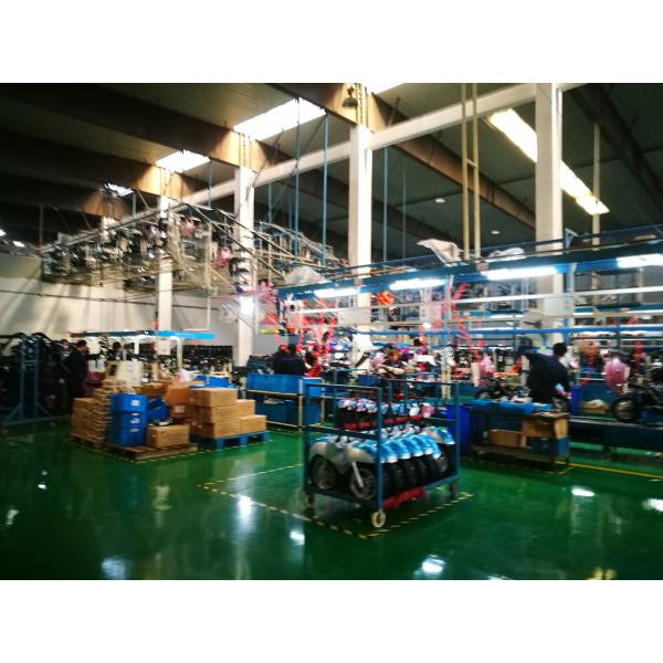 EEC Lithium Electric Moped Scooter For Adults Motorcycle 2000W Lead Acid Battery