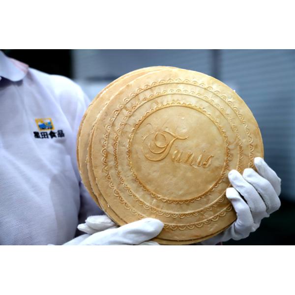 Linha de produção friável de aço inoxidável do cone de ISO9001 220V