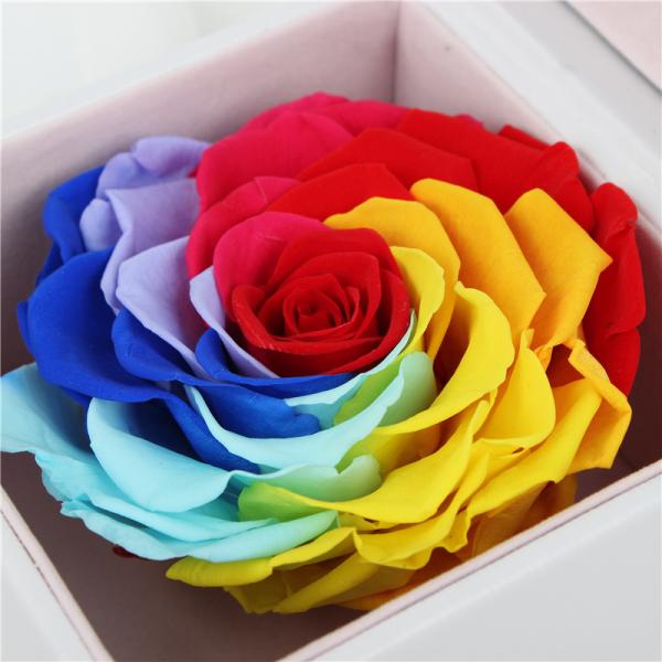 7-8CM Complex Colorful Preserved Rose Gift Box For Indoor Decoration