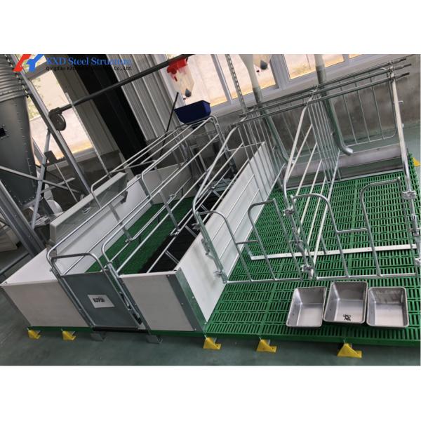 Edificios de acero prefabricados para el ganado de aves de corral