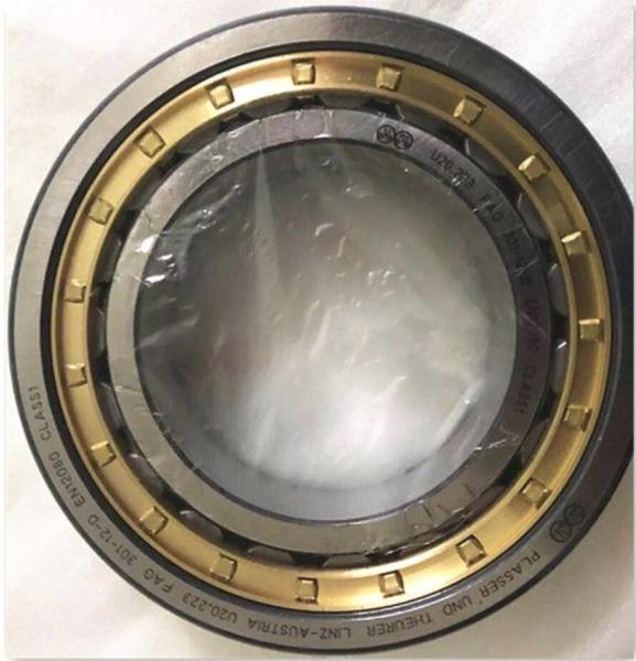 FAG Bearing Steel U20.223 NJP2216EM1C3 Cylindrical Roller Bearing Needle Roller Bearings