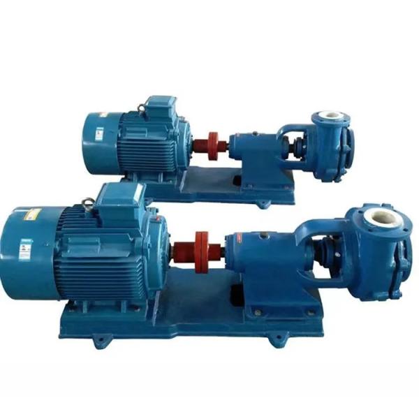 Electric Stainless Steel Sewage Pump , Pipeline Sewage Submersible Water Pump