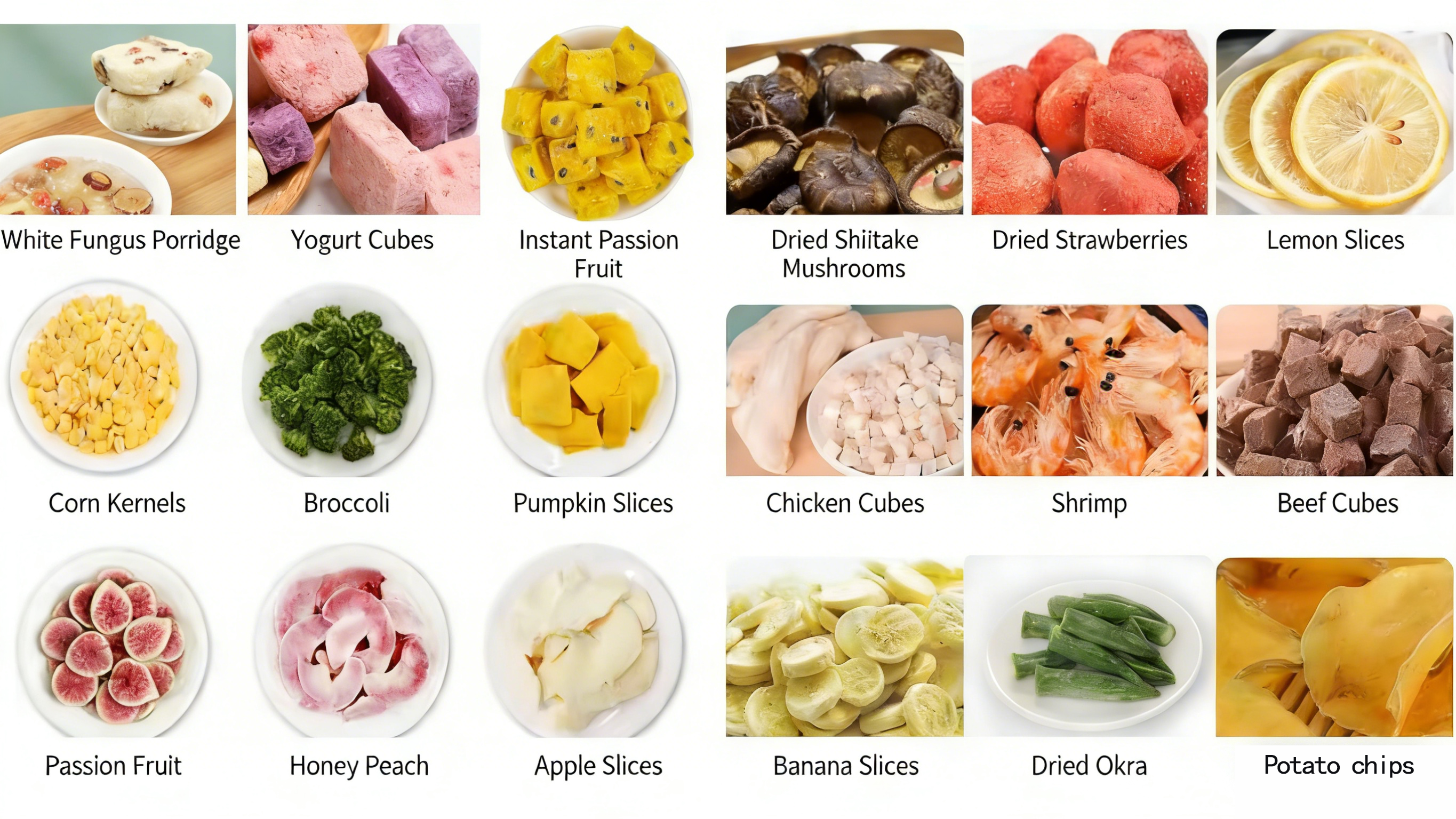 Freeze Dryer Loading & Unloading Robot – Automatic Tray Handling