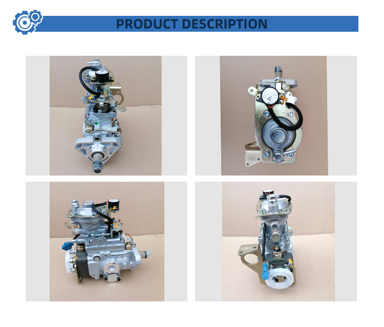 Electronically Controlled 0460424376 VE4/12F1250R558-3 VE Series Diesel Engine Parts Auto Fuel Pump Assembly