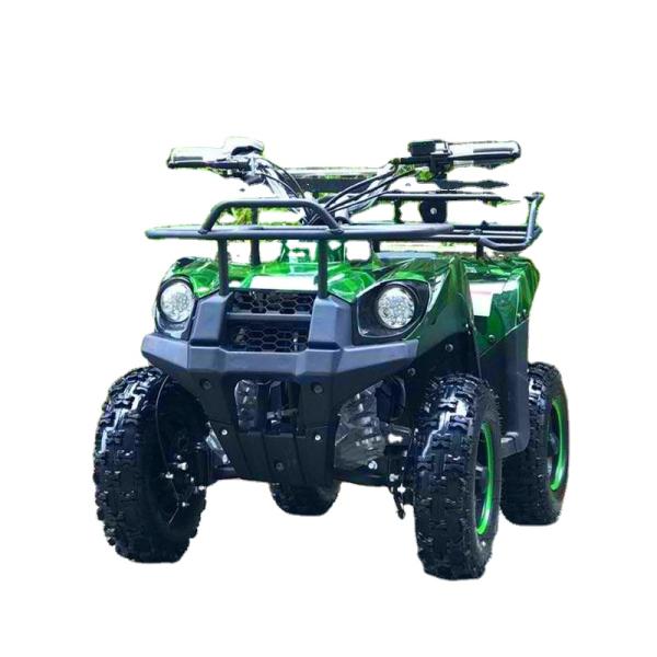 Electric ATV 800w Mini Quad Bike for Adults and Kids Small Off-Road Outdoor Sports Car