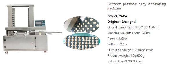Papa Machine P308 Cracker Production Line – 3 Rows Output in One Line