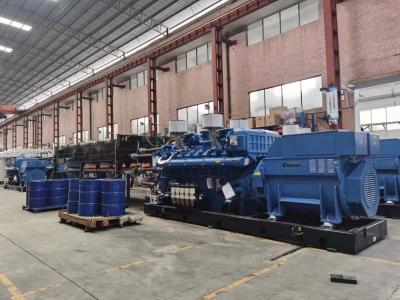 10 a 1000 kW Container Diesel Generator Manual automático