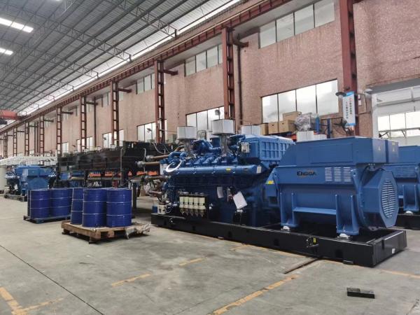 10 a 1000 kW Container Diesel Generator Manual automático
