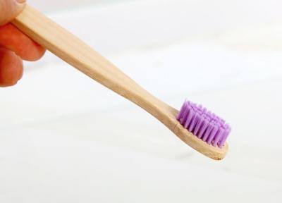 Escova de dentes de bambu amigável livre macia das cerdas BPA Eco com logotipo gravado