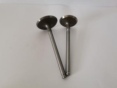 GM VECTRA Automotive Engine Inlet Valves , Car Diesel Engine Parts