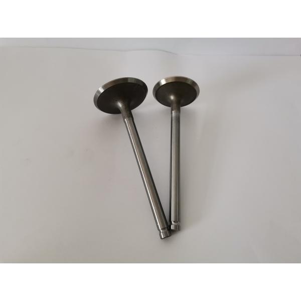 GM VECTRA Automotive Engine Inlet Valves , Car Diesel Engine Parts