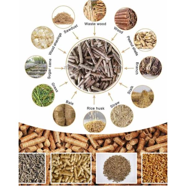 Небольшой деревянный CE производственной установки лепешки завода по обработке 400-600kg/H лепешки деревянный