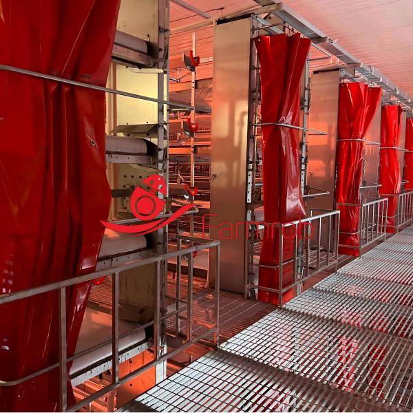 434 cm2 Area Q235 Steel Layer Chicken Cage System with 700mm Story Height