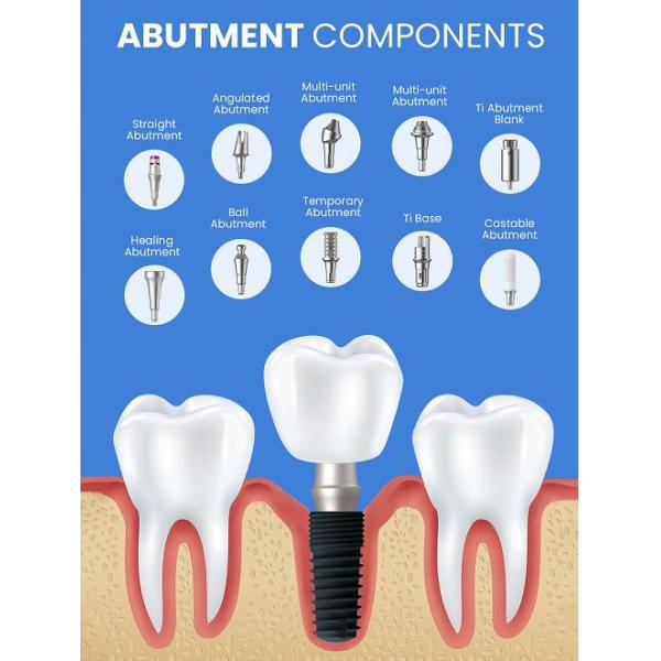 2D/3D Customized Dental Implant Prosthetic Abutment for Narrow Regular Neck Implants