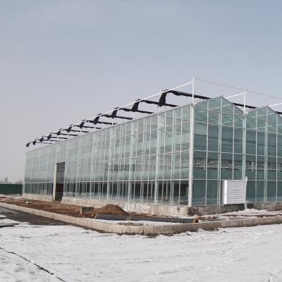 Sala de exposições de vegetais e pepinos com teto com arco de aquecimento contínuo