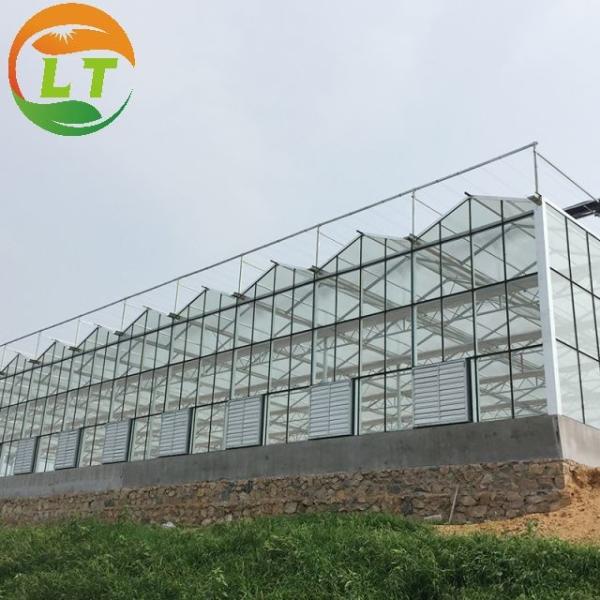 Fertilização de plantas Esqueleto de vidro multi-span com comprimento personalizável de até 50 m