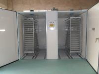 Pneumatic Turnign High Hatchibility Single Stage Incubator Setter