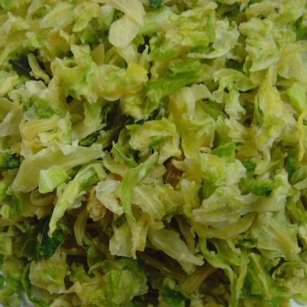300mm Belt Vegetable Sorter Dehydrated Vegetable Grading Equipment