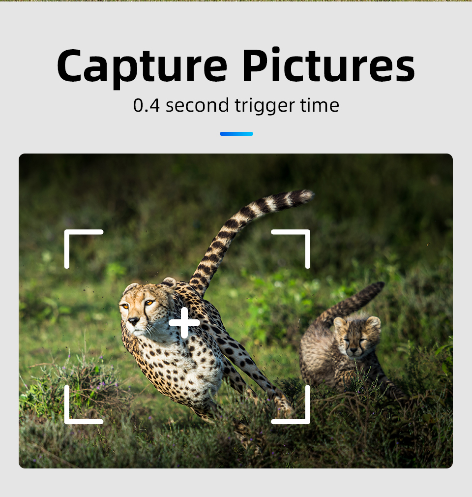 4G LTE Wireless Cellular Trail Camera with App for Deer Hunting &Videos on Any Phone Verizon, AT&T, Game Trail Camera 4G