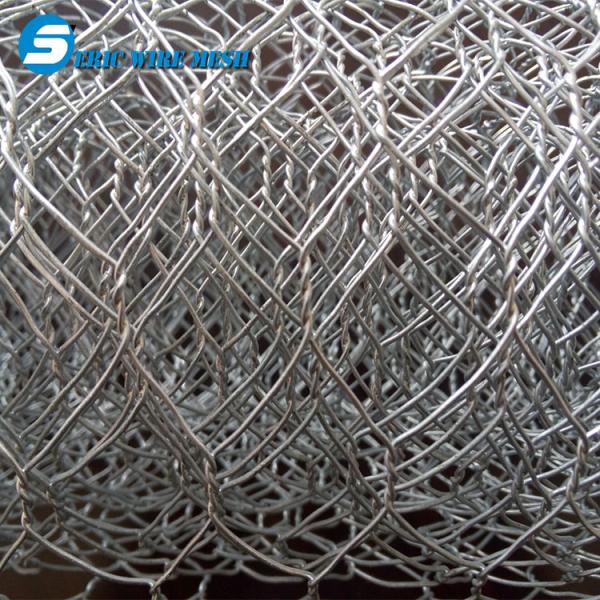 galvanized hexagonal netting wire/hexagonal wire mesh/chicken wire made by hot dipped galvnaized wire