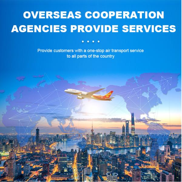 Weekly DDP International Logistics Services NVOCC Freight Forwarder To Toronto Canada USA