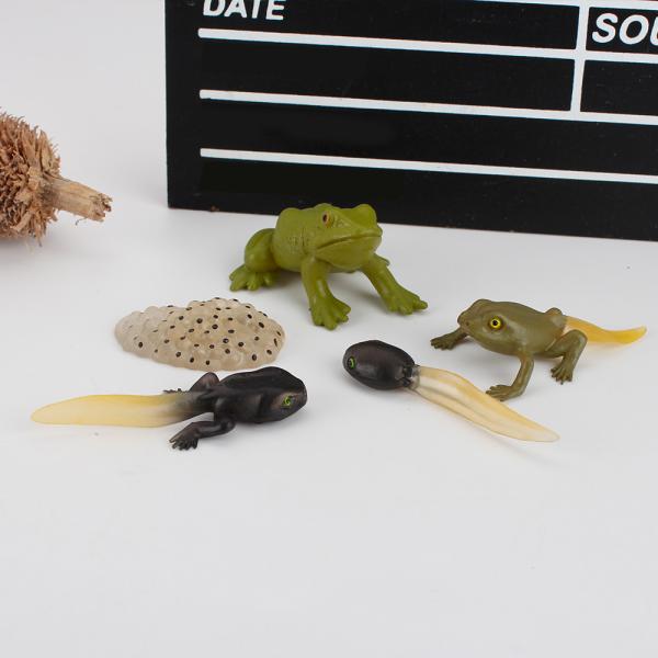 5 PCS Frog Animal Life Cycle Model Toy Cake Toppers Learning Development Toys for Boys Girls Kids