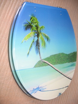 resin toilet seat cover,sanitary ware,hinge,MDF,PVC,PP,toilet,duroplastic toilet,body pic