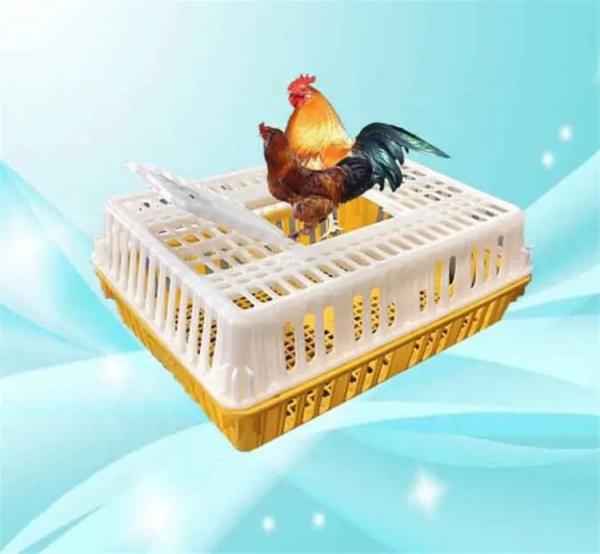 Live Poultry Carrier Crate Broiler Plastic Cage 7-10 Chicken Capacity