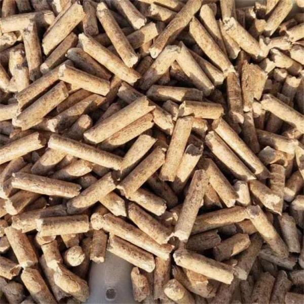 200kg/H 300kg/H Wood Sawdust Pellet Machine 4mm Pellet Size