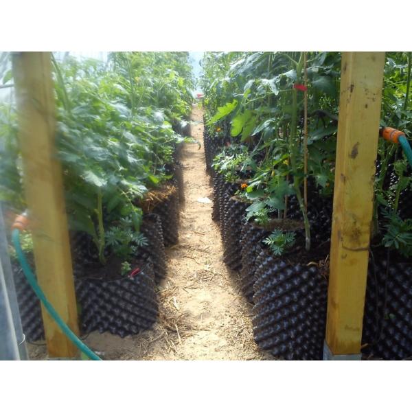 Воздуха парника баков воздуха пластмассы HDPE роста ведра белого 0.9mm корня подрезая