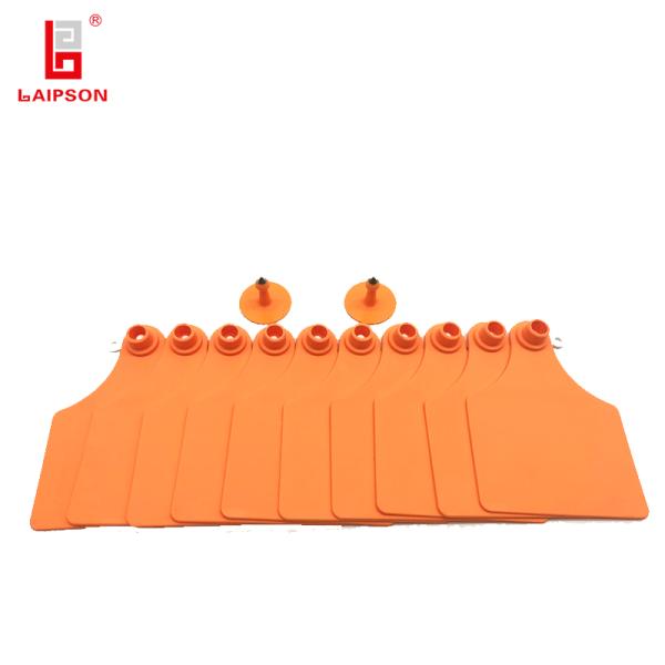 100MM 75MM Livestock Ear Tags , TPU Bovine Cattle Beef Cattle Ear Tags