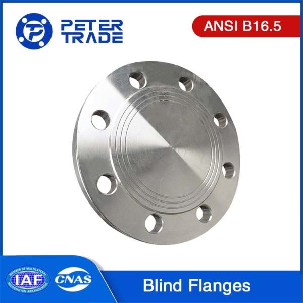 ASME B16.5 Class 150 A105 Carbon Steel Blind Flange BLRF Raised Face 1/2'' To 24'' For Pharmaceutical and Food Industry