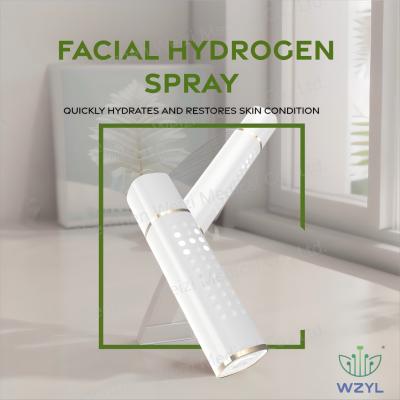 Skincare Whitening Hydrogen Water Spray 1000PPB Portable Anti Wrinkle