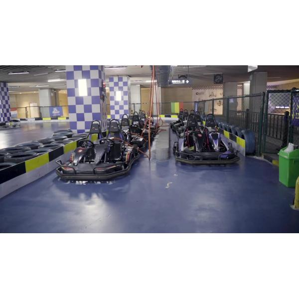 Быстрый ход CAMMUS идет Karts 48 вольт электрическое идет Kart небольшой поворачивая радиус