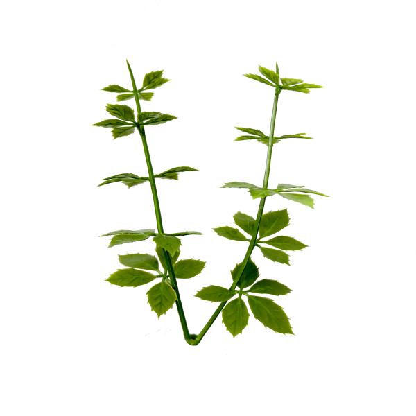 PE Plastic Plants Artificial Bush Wall 50*50cm For Home Decorative