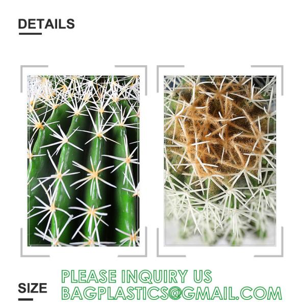 Artificial Cactus Fake Big Cactus 36 Inch Faux Cacti Plants For Home Garden Office Store Decoration