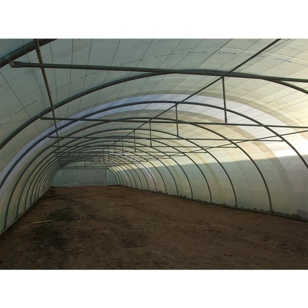 150-микронная металлическая плёнка для теплицы для пустынной розы