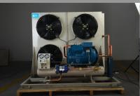 Sistema de enfriamiento de condensación de la unidad de la cámara fría de Monoblock de los temporeros de Frost para la conservación en cámara frigorífica
